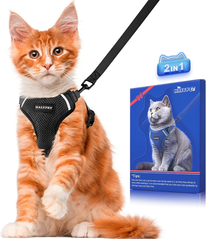 Cat Harness and Leash Set [ MAX Safety Third Generation ] Escape Proof Soft Adjustable Cat Leash Breathable Comfortable Vest Easy to Wear Kitten Harness for Outdoor Walking Black