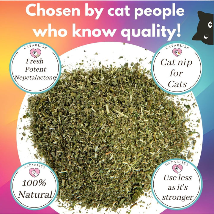Catnip for Cats – 1Oz Jar - 100% Essential Natural Cat Nip Herb Resealable Jar - Fresh Aroma Stimulates Activity & Enhancing Play for Indoor Cats - Great for Cat Nip Toys, Play & Training