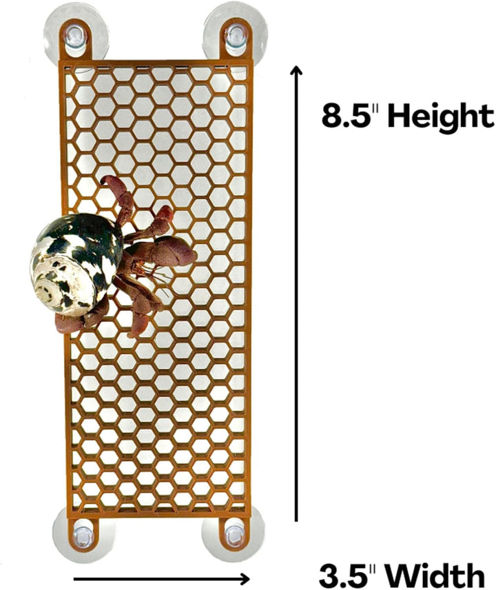 Hermit Crab Ladder Climbing Toy | Hermit Crab Tank Enrichment Decor | Hermit Crab Decoration Accessories Supplies Toys Ornaments