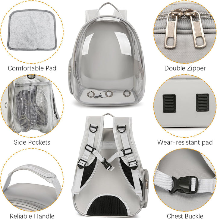 Bearded Dragon Carrier with Harness and Leash Set, Large Reptile Travel Carrier Portable Lizard Backpack Clear Small Animals Carrying Bag for Gecko Hamster Rabbit Hedgehog Kitten (Black)