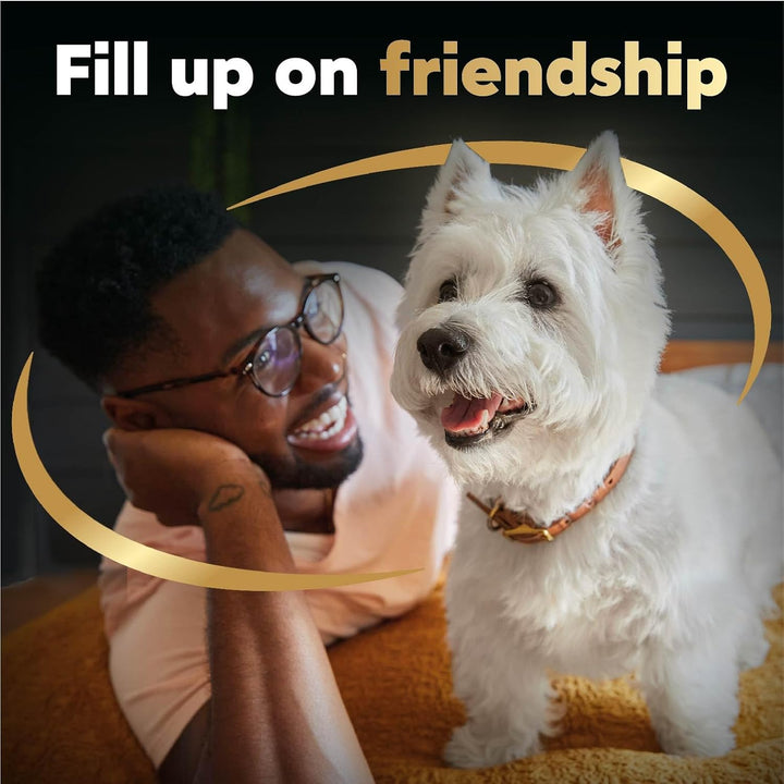 Filets in Gravy Wet Dog Food Filet Mignon Flavor, 1.76 Oz. Mini-Pouch (20 Count, Pack of 1)