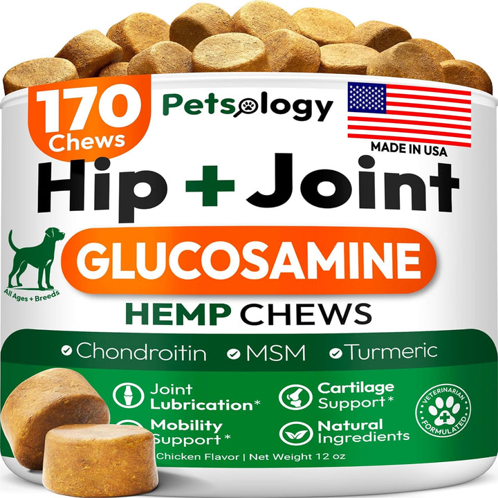 Probiotics for Dogs - 170 Dog Probiotics Chews - Digestive Enzymes & Prebiotics - Support Gut Health, Diarrhea, Gas & Constipation Relief - Itchy Skin, Allergies, Yeast Balance - Advanced Supplement
