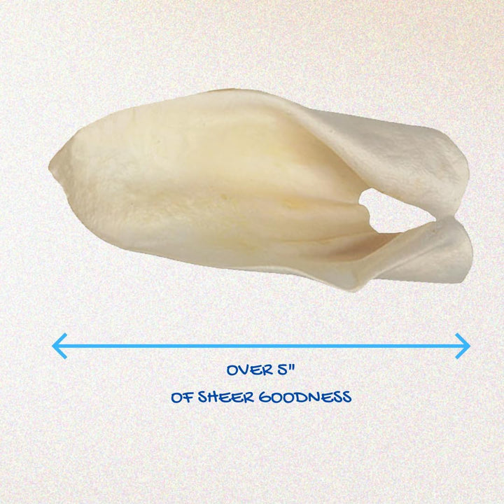 100% Natural Real Cow Ears (50 Pack) Prime Dog Chews, over 5 Inches Free Range Grass Fed Cattle, No Additives, Chemicals or Hormones