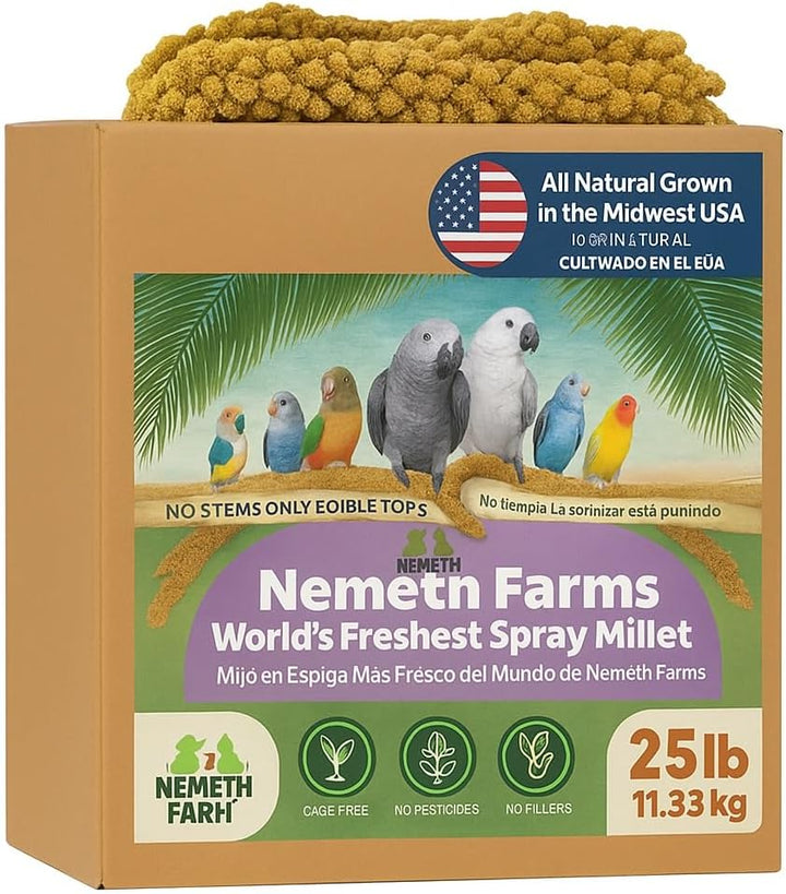 Premium Non-Gmo Spray Millet Treat | Hand-Harvested Bird Snack | 100% Edible Tops | Sun-Dried Supplement for Parakeets, Cockatiels, Finches, Lovebirds, Canaries