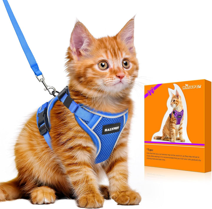 Cat Harness and Leash Set - MAX Safety 4Th-Gen Upgrade, Escape Proof, Adjustable, Comfortable Soft Vest, Easy to Wear Kitten Harness with Reflective Strip for Cats Walking - Small Black