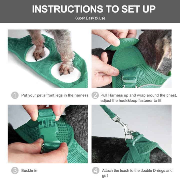 Cat Harness and Leash Set for Walking Kitten and Puppy, Escape Proof Kitten Harness with Breathable Lightweight Soft Mesh, Adjustable Reflective Step-In Design. (XXXS, Green)