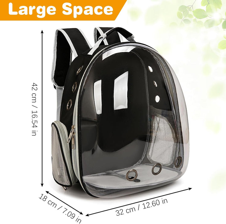 Bearded Dragon Carrier with Harness and Leash Set, Large Reptile Travel Carrier Portable Lizard Backpack Clear Small Animals Carrying Bag for Gecko Hamster Rabbit Hedgehog Kitten (Black)