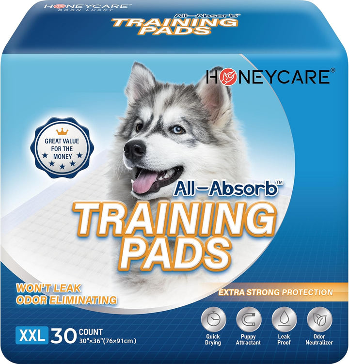 All-Absorb, Small 17.5" X 23.5", 120 Count, Dog and Puppy Training Pads, Ultra Absorbent and Odor Eliminating, Leak-Proof 5-Layer Potty Training Pads with Quick-Dry Surface, Blue, A05