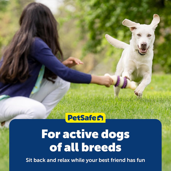 Busy Buddy Natural Rawhide Rings - Long-Lasting Chew Refills - Quality Ingredients - Peanut Butter & Original Rawhide Flavored Treat Rings - Size C - 24-Pack