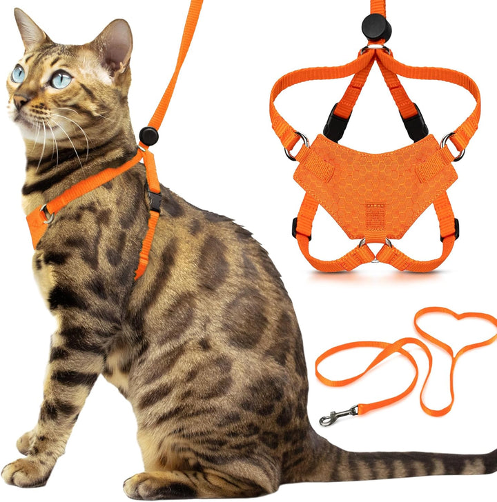 Houdini™ Escape Proof Cat Harness and Leash Set by  – Black, Medium Cat Harness for Walking