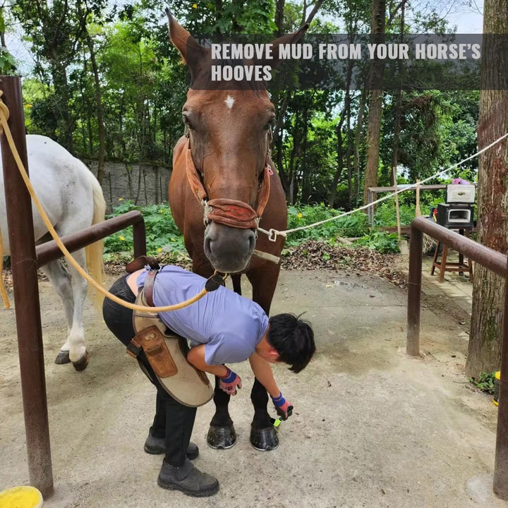 Stiff Bristled Horse Hoof Pick Brush with Soft Rubber Handle, Portable (2PCS, Random Color)