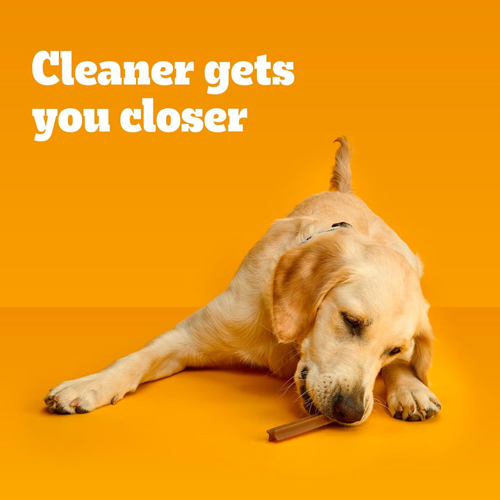 Dentastix Large Breed Dog Treats, Beef Flavor, 1.67 Lb. Bag (32 Treats)