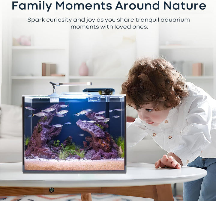 5 Gallon Small Aquarium Set Glass Fish Tank 6 Gallon, Starter Kit with Heater Self Cleaning System Filter Bright Light Rocks Gravel Cleaning Tool, Leak-Proof Clear Rimless Betta Plants