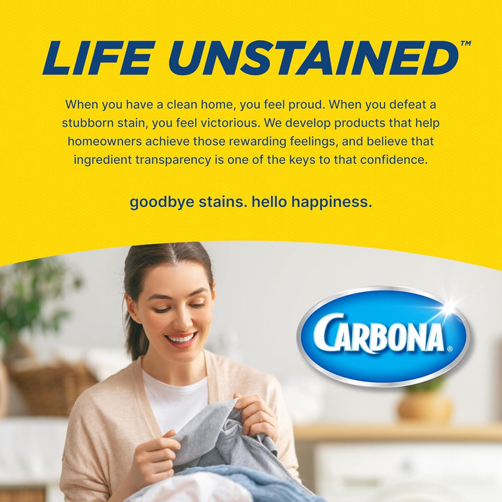 Oxy-Powered Pet Stain & Odor Remover | Carpet Cleaner for Pets | 13.5Oz