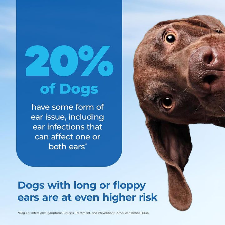 Oticbliss Medicated Dog Ear Infection Treatment, Antiseptic Ear Cleaner for Cat & Dog Ear Cleaning Solution with Chlorhexidine & Ketoconazole (12Oz Flush)