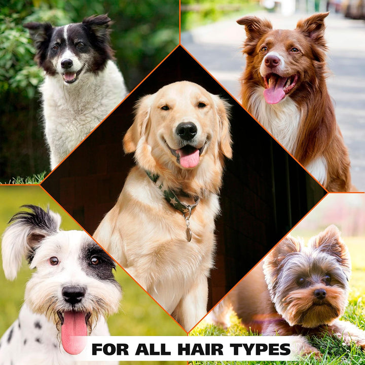 USA Cornflower Scented Pet Deodorant Spray for All Dogs & Cats – Clean Fresh Smell Refreshes & Deodorizes – 8 Oz - Model 820009A