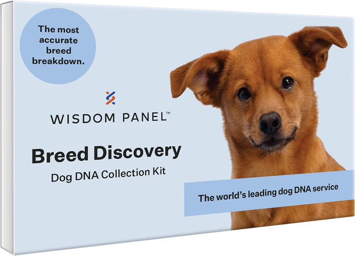 Panel Breed Discovery Dog DNA Kit: Most Accurate Dog Breed Identification, Test for 365+ Breeds, MDR1 Health Test, Ancestry, Relatives