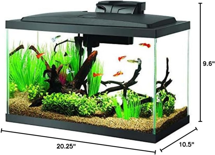 Aquarium Fish Tank Starter Kit with LED Lighting 10 Gallon Fish Tank
