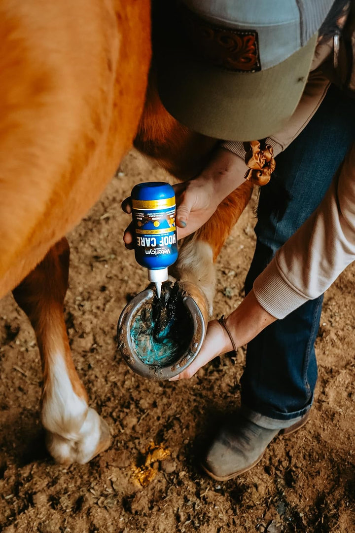 Mobility Equine Hoof Care for Sole and Frog Damage Caused by Thrush, White Line Separation, and Seedy Toe. 8 Ounces