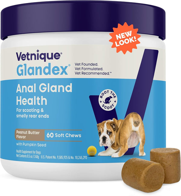 Glandex Anal Gland Soft Chew Treats with Pumpkin for Dogs Digestive Enzymes, Probiotics Fiber Supplement for Dogs Boot the Scoot (Peanut Butter Chews, 60 Count)