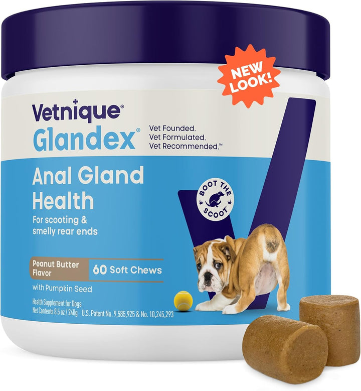 Glandex Anal Gland Soft Chew Treats with Pumpkin for Dogs Digestive Enzymes, Probiotics Fiber Supplement for Dogs Boot the Scoot (Peanut Butter Chews, 60 Count)