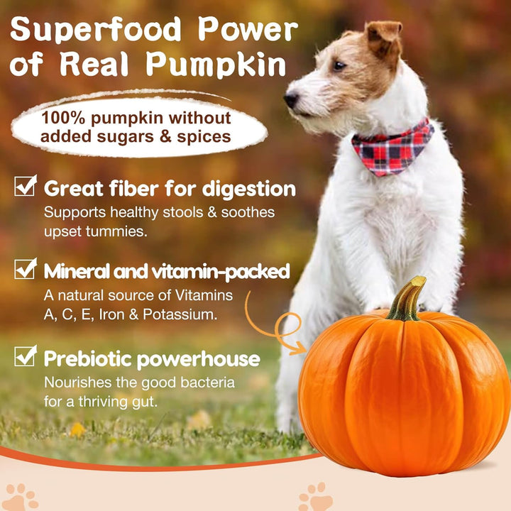 Probiotics for Dogs, Dog Probiotics for Digestive Health, plus Pumpkin and Fish Oil, for Gut & Itchy, 120 Soft Chews