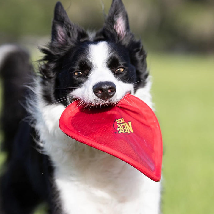 Nylon Flyer Dog Toy, Flying Disc, Lightweight, Durable and Water Resistant, Great for Beach and Pool, 9 Inch Diameter, for Medium/Large Breeds, Single Unit, Red