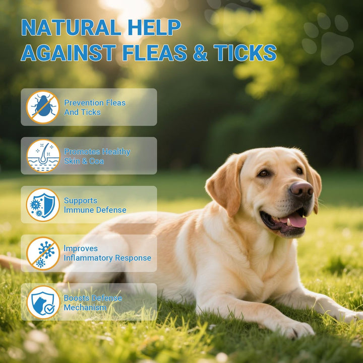 Flea and Tick Prevention for Dogs, 180 Soft Chews Natural Dog Flea and Tick Chewables Oral Flea Supplement for Dogs, Puppy Flea Support - All Breeds & Ages - Chicken Flavor