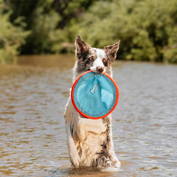 Paraflight Flying Disc Dog Toy - Water Floating Flyer - Durable Nylon Construction with Soft Rubber Edges - for Medium and Large Dogs - Size Large - 9.75" L X 9.75" W - Pack of 1