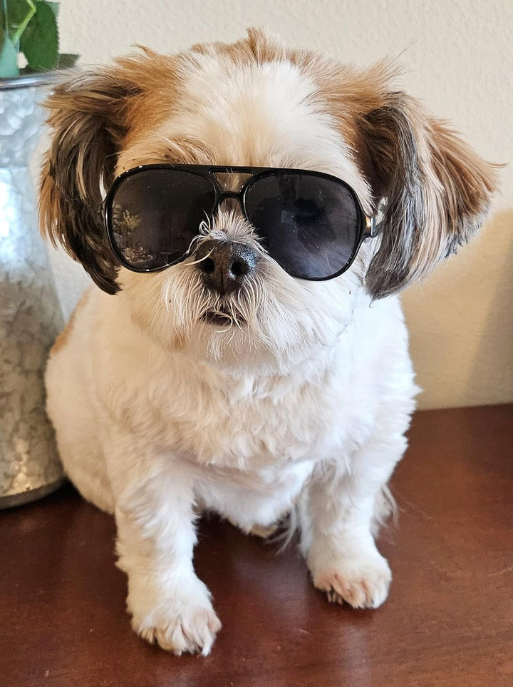 G029 Small Dog Breed up to 15Lbs Cat Pet Aviator Sunglasses Glasses (Black)