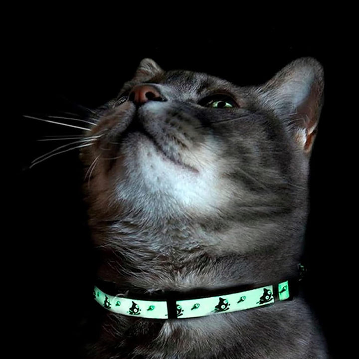 Glow in the Dark Cat Collar Kitten Collar with Safety Buckle and Removable Bell - Teal