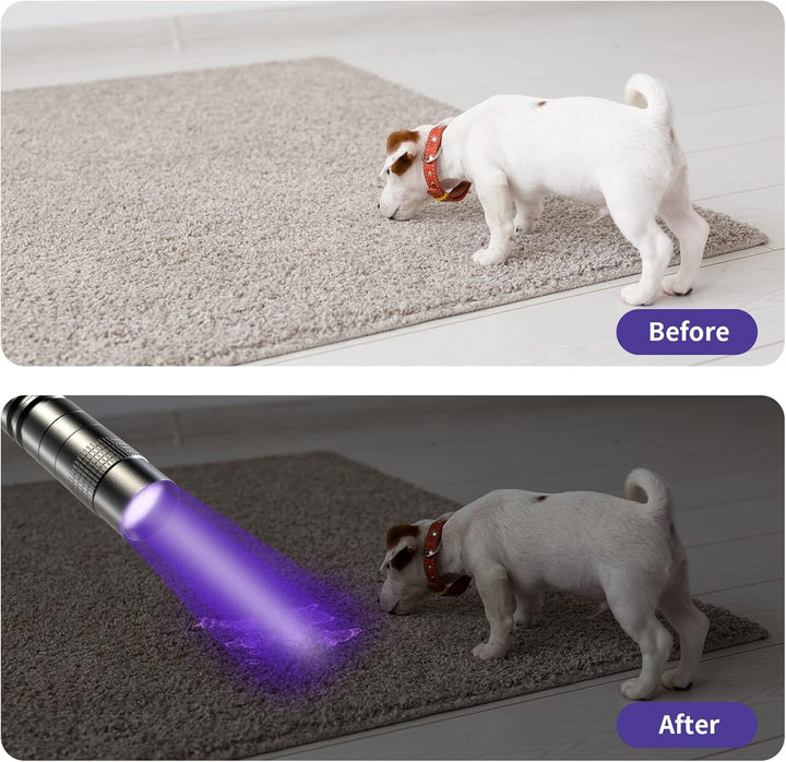 2 UV Black Light Flashlight, 2 Pack 395Nm Mini Pen Light with Clip, Waterproof Ultraviolet Flashlight for Leak, Pet Urine, Scorpion, Hotel Inspection, Dry Stain and Bed Bug.