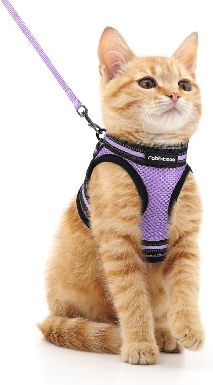 Cat Harness and Leash Set for Walking Escape Proof, Adjustable Soft Kittens Vest with Reflective Strip for Cats, Comfortable Outdoor Vest, Black, S
