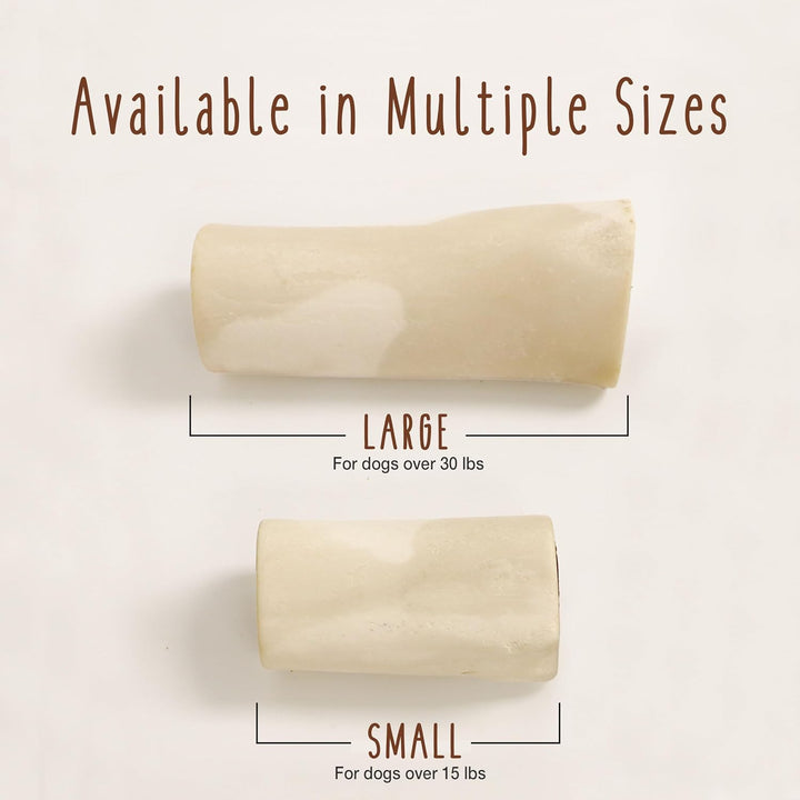 Stuffed Shin Bone, Long-Lasting Dog Chew Bones for Aggressive Chewers, High Protein Filled Bone Dental Chew for Dogs, Bacon & Cheese Flavor Filling, 5-6" for Large Dogs