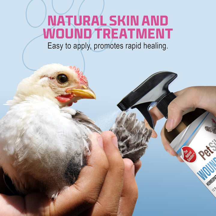 Chicken Wound Spray for Chickens & Birds - Patented Silver Solution - Silver Spray for Wounds, Pecking Sores, Bumblefoot, Cuts, Burns, & Skin Irritations - Chicken Care - USA Made - 12 Fl Oz
