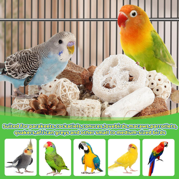Bird Toys Parrot Toys Natural Bird Foraging Box Foot for Parakeets,Cockatiels,Conures,Love Birds,And Other Small to Medium Birds (Medium)