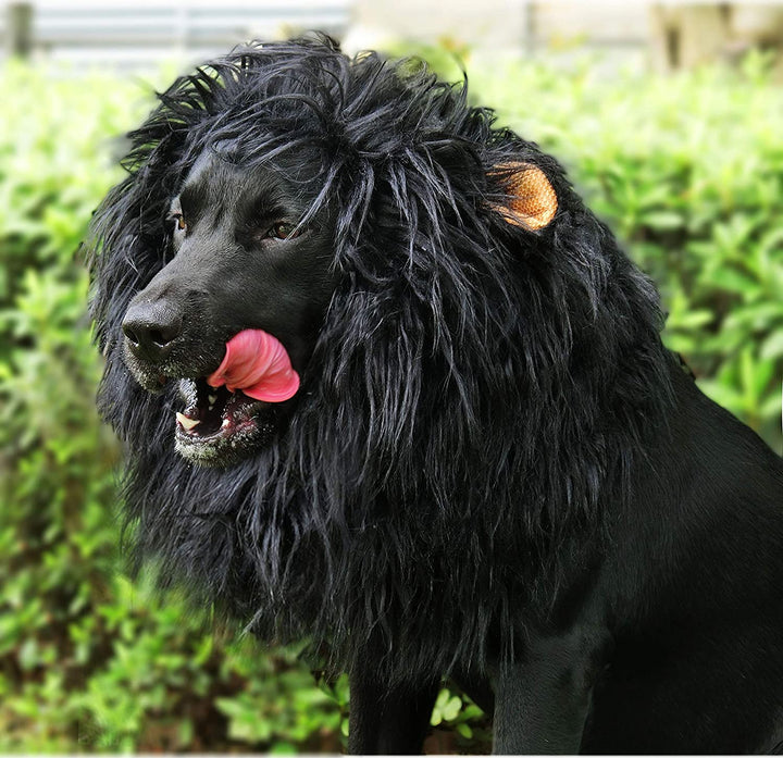 Lion Mane Wig for Dogs with Ears, Funny Pet Costumes for Halloween Christmas