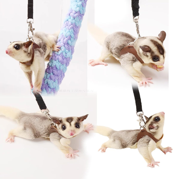 Sugar Glider Harness & Leash Set - Escape-Proof 3-Piece Adjustable Vest for Squirrels Rats Mice Mouse & Small Animals - Hamster Gerbil Walking Gear, Pet Toy Accessories, Black