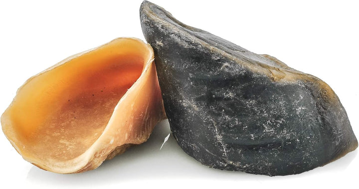 Natural Cow Hooves - 12 Count (Pack of 1) - Single Ingredient, Long-Lasting, Grass-Fed, Promotes Dental Health