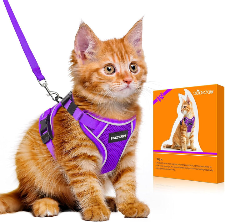Cat Harness and Leash Set - MAX Safety 4Th-Gen Upgrade, Escape Proof, Adjustable, Comfortable Soft Vest, Easy to Wear Kitten Harness with Reflective Strip for Cats Walking - Small Black