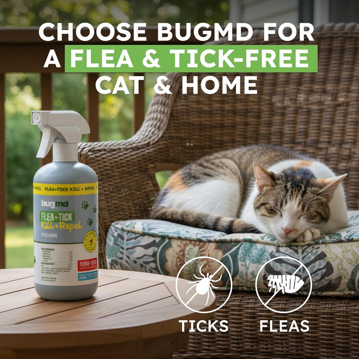 Pet Safe Flea Spray for Cats & Home | Natural Indoor Flea Killer & Tick Prevention | Plant-Based Flea Treatment for Carpet, Furniture & Cat Trees with Essential Oils