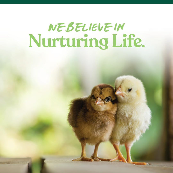 Medicated Chick Starter Grower Feed – High Protein Crumbles with Amprolium for Coccidiosis Prevention – Complete Chicken Feed for Baby Chicks and Pullets – for Healthy Growth – 5 Lb Bag