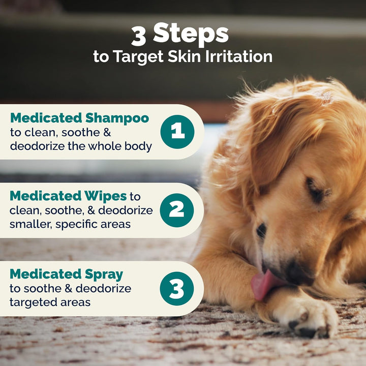 Dermabliss Chlorhexidine for Dogs Skin Health - Antibacterial Medicated Dog Shampoo, and Medicated Wipes - for Skin Infections & Irritation, Hot Spots & Redness Relief (Medicated Spray, 8Oz)