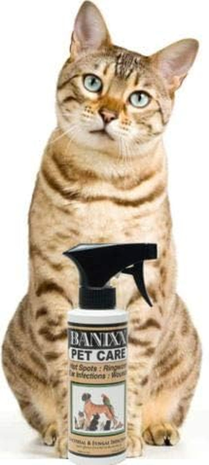 Pet Care for Fungal & Bacterial Infections 8Oz