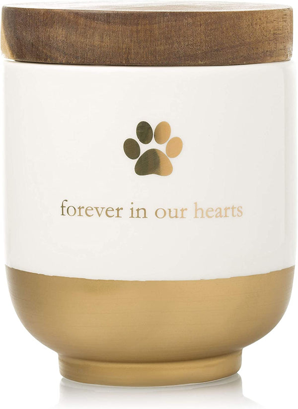 Pet Ceramic Forever in Our Hearts Urn, Pet Memorial, Dog or Cat Keepsake Urn, Rainbow Bridge, Gold