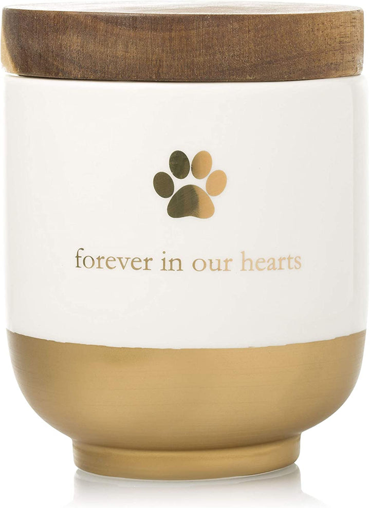 Pet Ceramic Forever in Our Hearts Urn, Pet Memorial, Dog or Cat Keepsake Urn, Rainbow Bridge, Gold