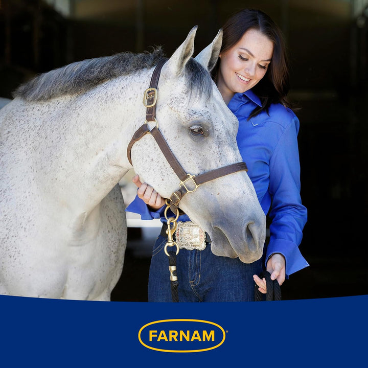 Endure Sweat-Resistant Fly Spray for Horses, Lasts up to 14 Days, Protects against Flies, Gnats, Mosquitoes, Ticks & Lice, 32 Oz.