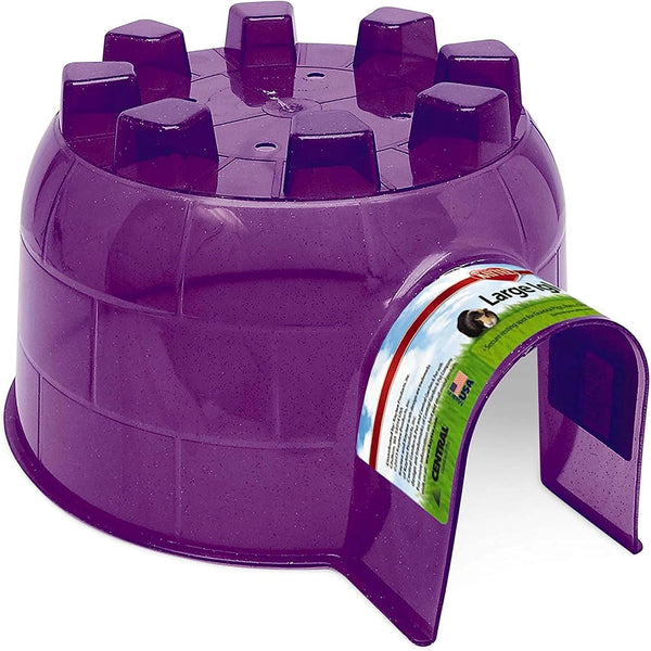 Igloo Habitat Hideout for Pet Guinea Pigs, Ferrets, Dwarf Rabbits, Chinchillas, and Other Small Animals, Assorted Colors, Large