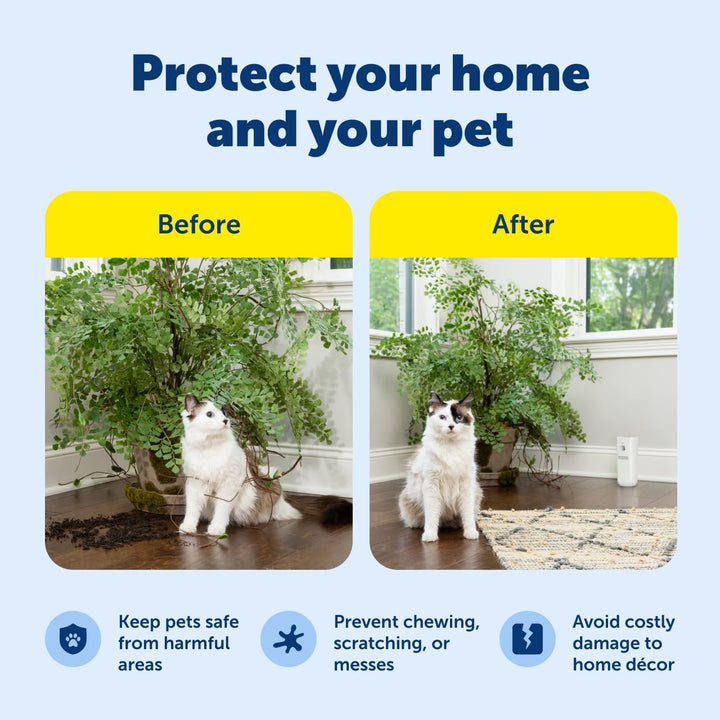 SSSCAT Automatic Spray Pet Deterrent - Contactless Behavior Correction - Motion Sensor Air Burst - Odorless - Non-Staining - Versatile Placement Spray