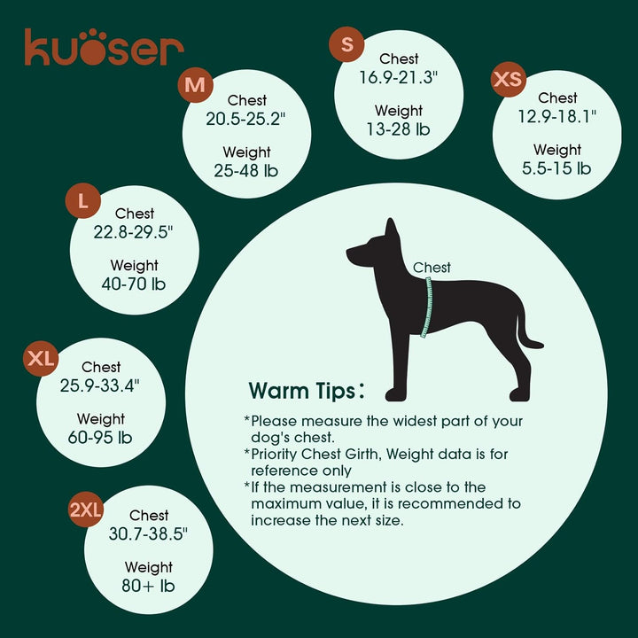 Dog Life Jacket High Flotation, Reflective Dogs Life Vest for Swimming Boating, Adjustable Small Medium Large Dog Lifejacket, Lightweight Dogs Life Preserver Rescue Handle Spring Summer Pool